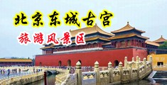 那里免费看中国黄免变态男操女人中国北京-东城古宫旅游风景区
