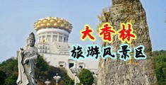 激情入逼网中国浙江-绍兴大香林旅游风景区
